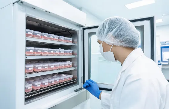 Cell culture incubator service